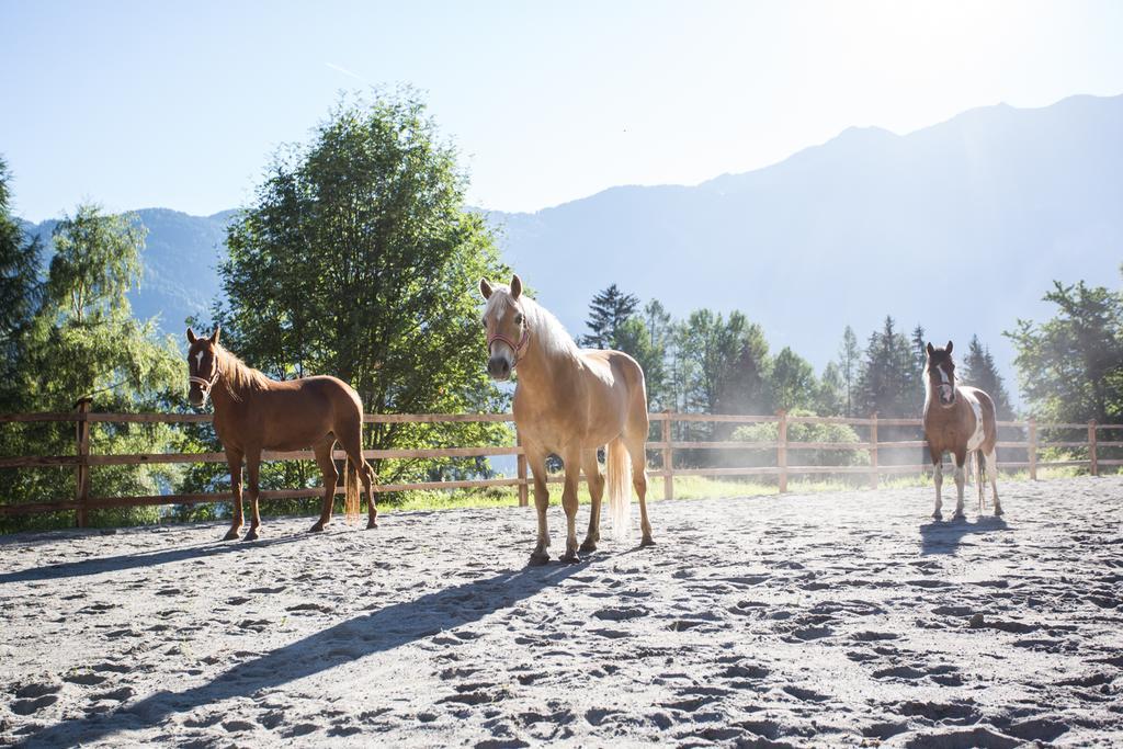 Ferienwohnungen Oetztal Sautens Εξωτερικό φωτογραφία